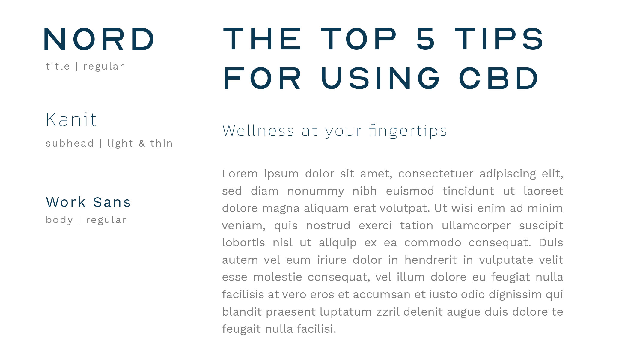 ampersand-branding-typography